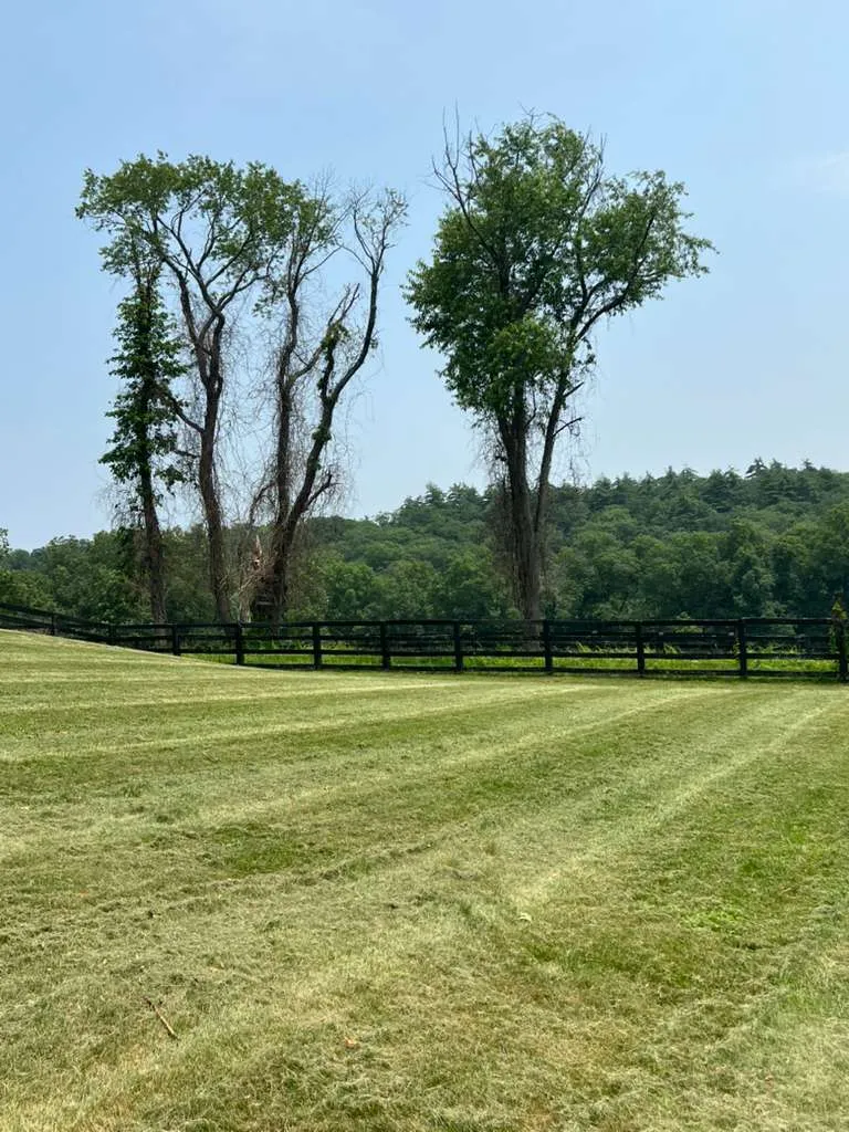 Spring clean-up Connecticut - Roland's