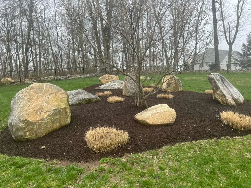 Clean-up Connecticut - Roland's