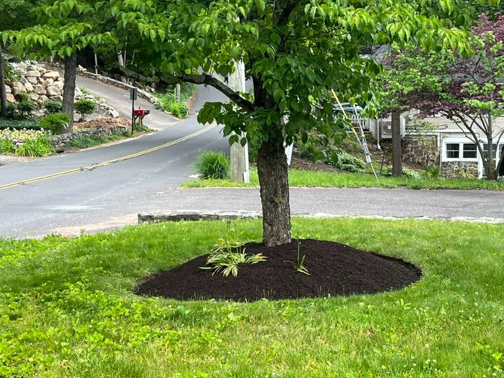 Power washing Connecticut - Roland's
