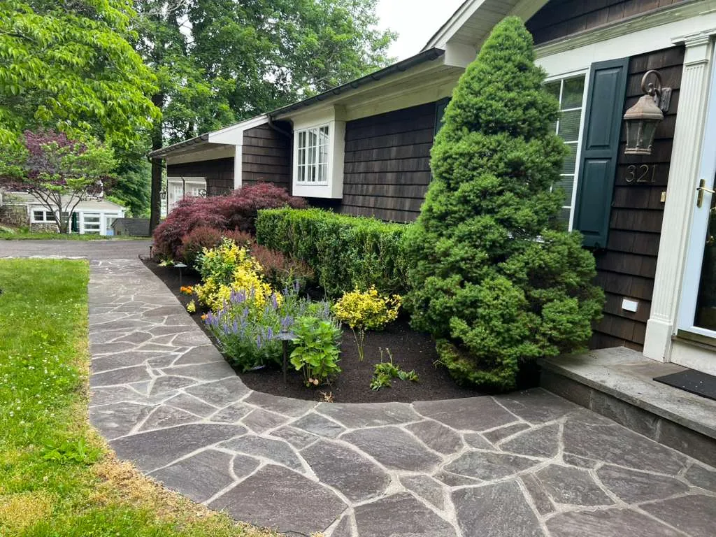 Tree services Connecticut - Roland's
