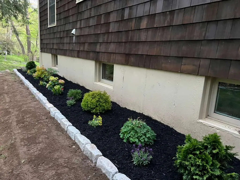 Pruning Connecticut - Roland's