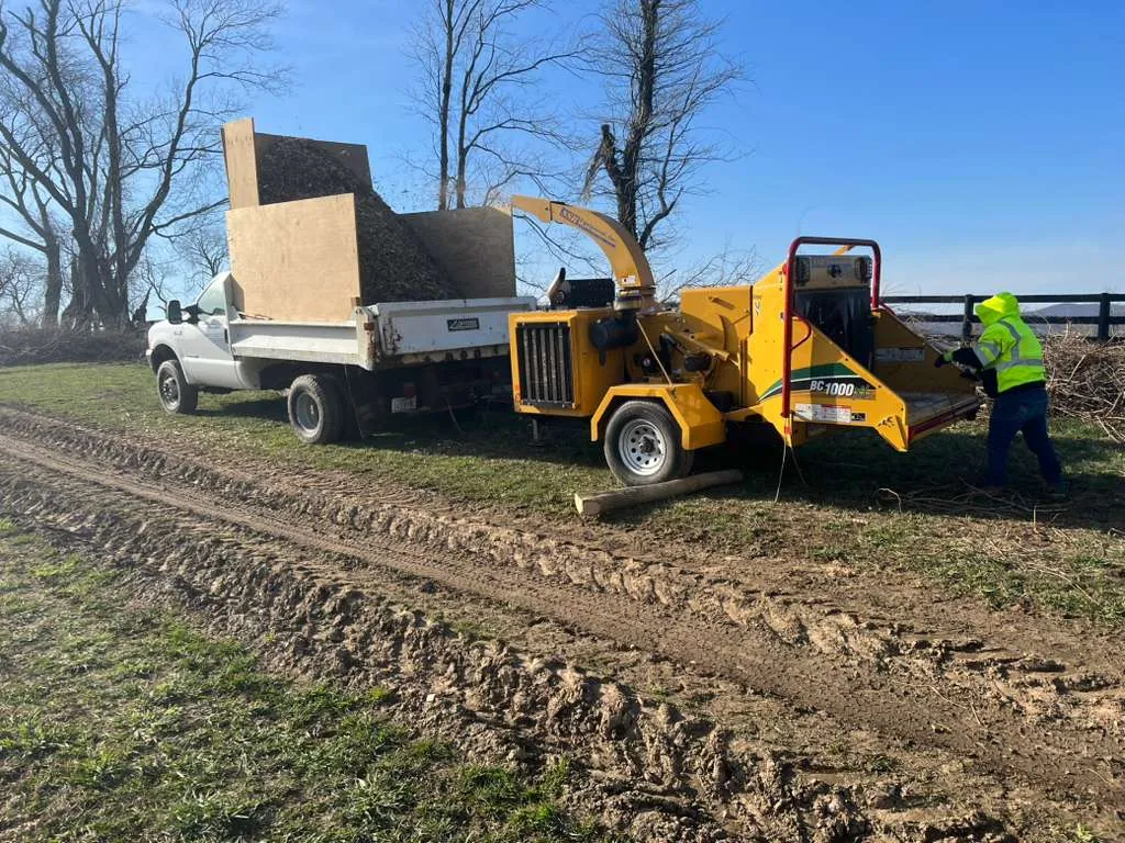 Clean-up Connecticut - Roland's